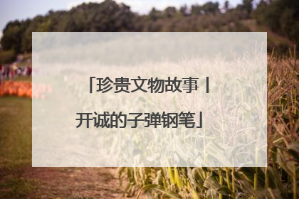 珍贵文物故事丨开诚的子弹钢笔