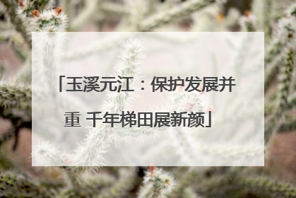 玉溪元江：保护发展并重 千年梯田展新颜