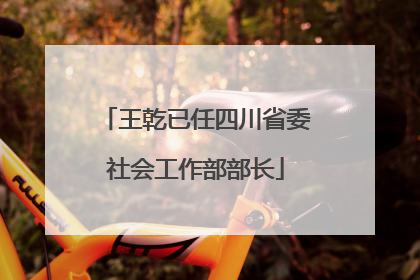 王乾已任四川省委社会工作部部长