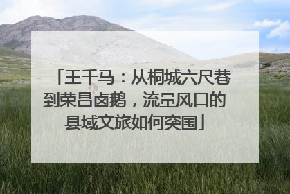 王千马：从桐城六尺巷到荣昌卤鹅，流量风口的县域文旅如何突围