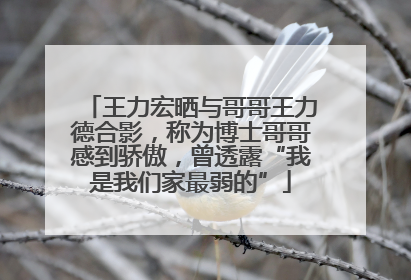 王力宏晒与哥哥王力德合影，称为博士哥哥感到骄傲，曾透露“我是我们家最弱的”