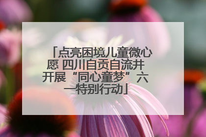 点亮困境儿童微心愿 四川自贡自流井开展“同心童梦”六一特别行动