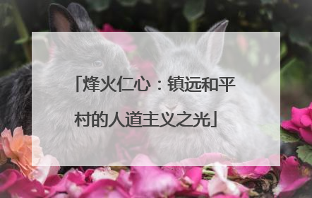 烽火仁心：镇远和平村的人道主义之光
