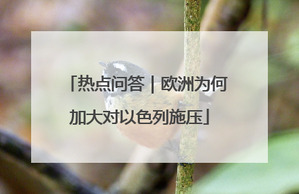 热点问答｜欧洲为何加大对以色列施压