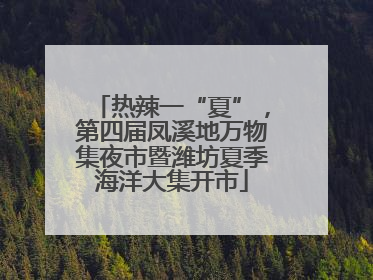 热辣一“夏”，第四届凤溪地万物集夜市暨潍坊夏季海洋大集开市