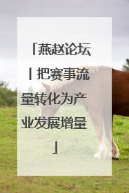燕赵论坛丨把赛事流量转化为产业发展增量