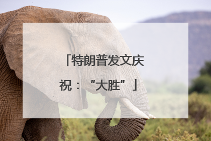 特朗普发文庆祝：“大胜”