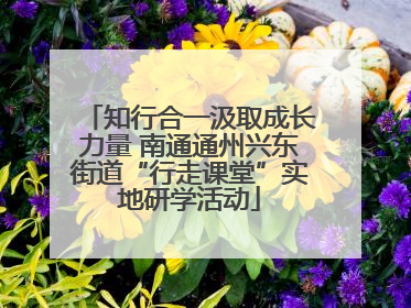知行合一汲取成长力量 南通通州兴东街道“行走课堂”实地研学活动