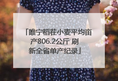睢宁稻茬小麦平均亩产806.2公斤 刷新全省单产纪录