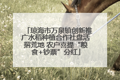 琼海市万泉镇创新推广水稻种植合作社盘活撂荒地 农户喜提“粮食+钞票”分红