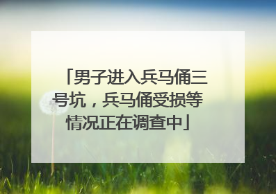 男子进入兵马俑三号坑，兵马俑受损等情况正在调查中