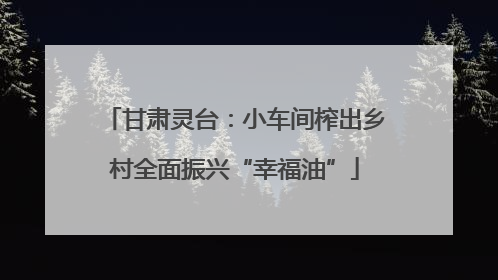 甘肃灵台：小车间榨出乡村全面振兴“幸福油”