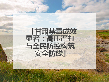 甘肃禁毒成效显著：高压严打与全民防控构筑安全防线