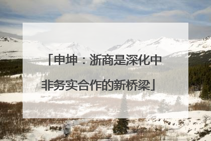 申坤：浙商是深化中非务实合作的新桥梁