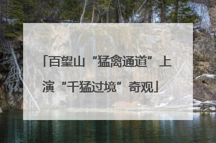 百望山“猛禽通道”上演“千猛过境”奇观