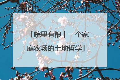 皖里有粮｜一个家庭农场的土地哲学