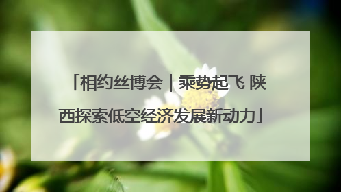 相约丝博会｜乘势起飞 陕西探索低空经济发展新动力