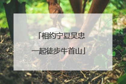 相约宁夏吴忠 一起徒步牛首山