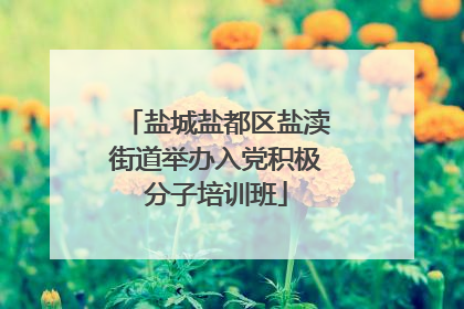 盐城盐都区盐渎街道举办入党积极分子培训班