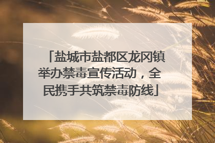 盐城市盐都区龙冈镇举办禁毒宣传活动，全民携手共筑禁毒防线