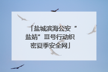 盐城滨海公安“盐靖”Ⅲ号行动织密夏季安全网