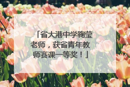 省大港中学鞠莹老师，获省青年教师赛课一等奖！