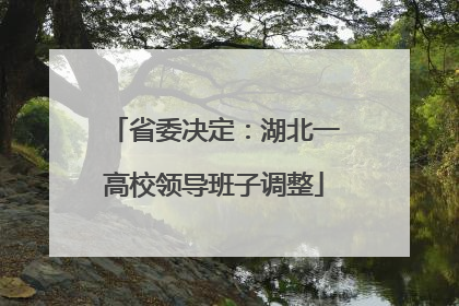省委决定：湖北一高校领导班子调整