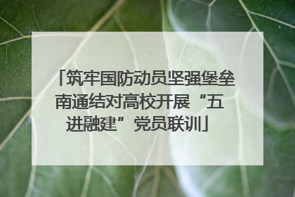 筑牢国防动员坚强堡垒 南通结对高校开展“五进融建”党员联训