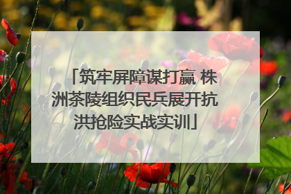 筑牢屏障谋打赢 株洲茶陵组织民兵展开抗洪抢险实战实训