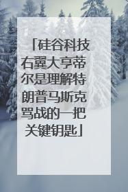 硅谷科技右翼大亨蒂尔是理解特朗普马斯克骂战的一把关键钥匙