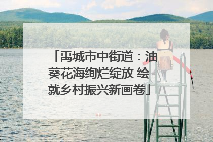 禹城市中街道：油葵花海绚烂绽放 绘就乡村振兴新画卷