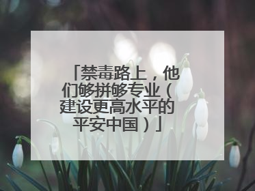 禁毒路上，他们够拼够专业（建设更高水平的平安中国）