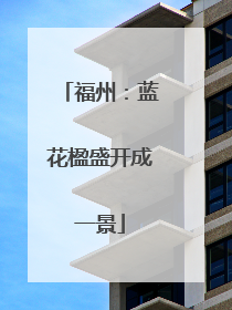 福州：蓝花楹盛开成一景