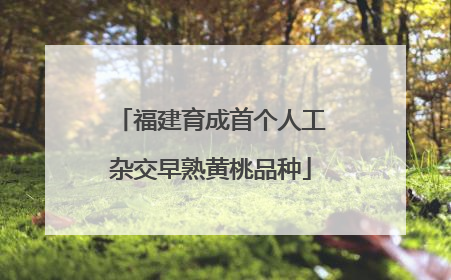 福建育成首个人工杂交早熟黄桃品种