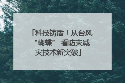 科技铸盾！从台风“蝴蝶” 看防灾减灾技术新突破