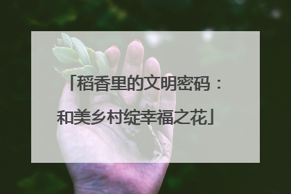 稻香里的文明密码：和美乡村绽幸福之花