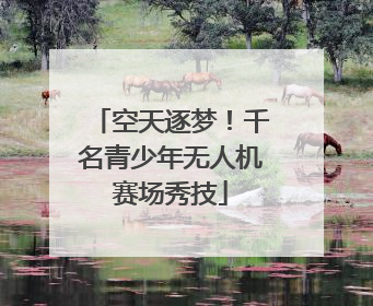 空天逐梦！千名青少年无人机赛场秀技