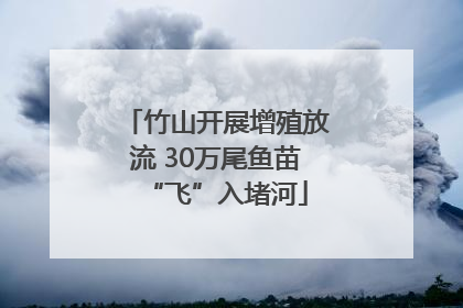 竹山开展增殖放流 30万尾鱼苗“飞”入堵河