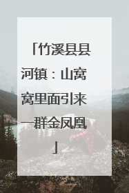 竹溪县县河镇：山窝窝里面引来一群金凤凰