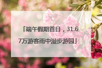 端午假期首日，31.67万游客雨中漫步游园