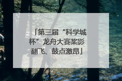 第三届“科学城杯”龙舟大赛桨影翻飞、鼓点激昂