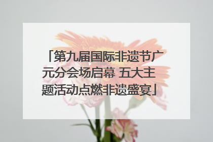 第九届国际非遗节广元分会场启幕 五大主题活动点燃非遗盛宴