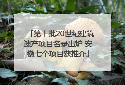 第十批20世纪建筑遗产项目名录出炉 安徽七个项目获推介