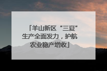 羊山新区“三夏”生产全面发力，护航农业稳产增收
