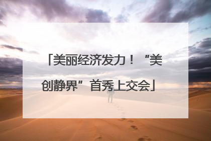 美丽经济发力！“美创静界”首秀上交会