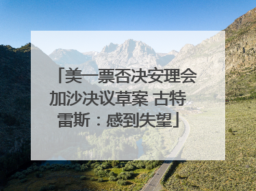 美一票否决安理会加沙决议草案 古特雷斯：感到失望