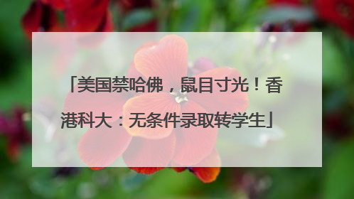 美国禁哈佛，鼠目寸光！香港科大：无条件录取转学生