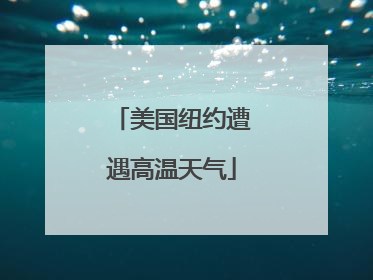 美国纽约遭遇高温天气