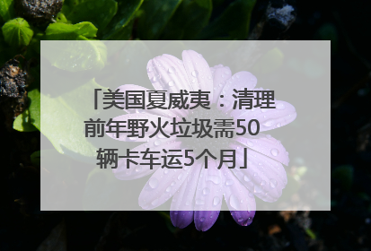 美国夏威夷：清理前年野火垃圾需50辆卡车运5个月