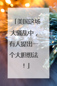 美国这场大骚乱中，有人提出一个大胆想法！